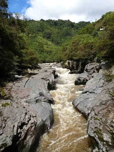 Río Magdalena